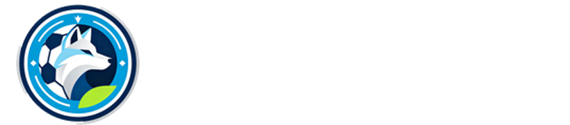 球帝直播网